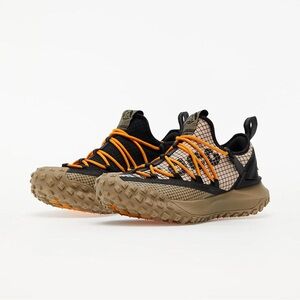 Nike ACG Mountain Fly Low Hiking Sneaker